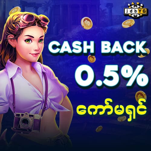 jdbyg  Cash back 0.5%